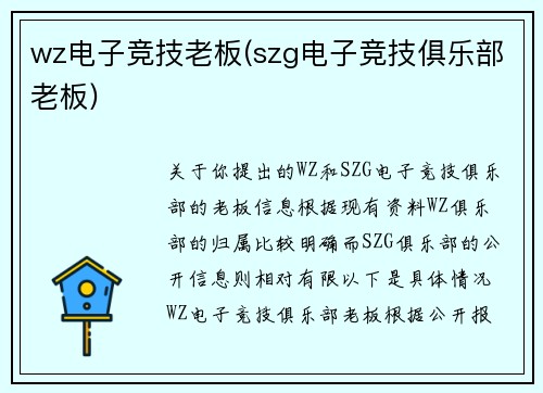 wz电子竞技老板(szg电子竞技俱乐部老板)